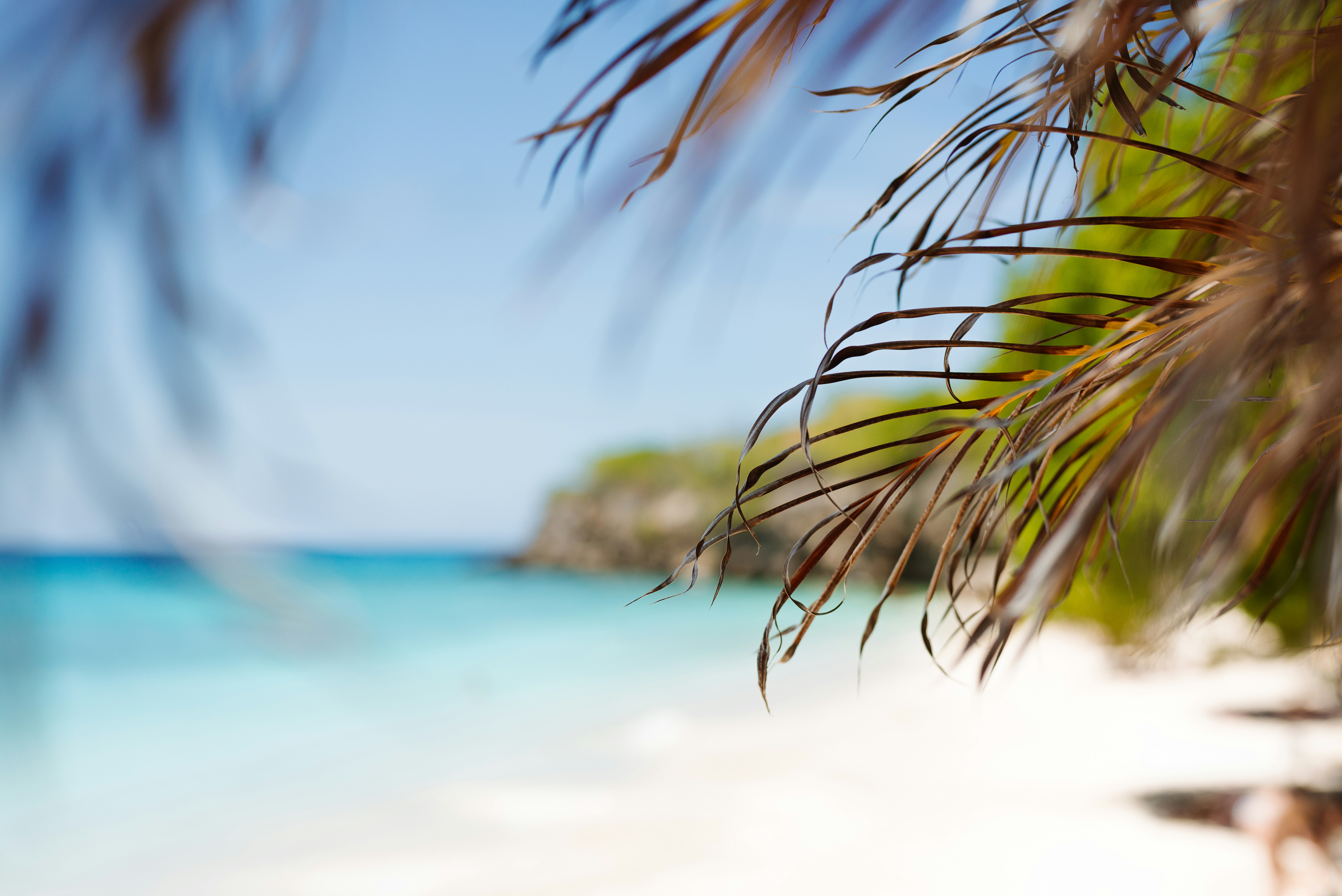 Long Term Rentals