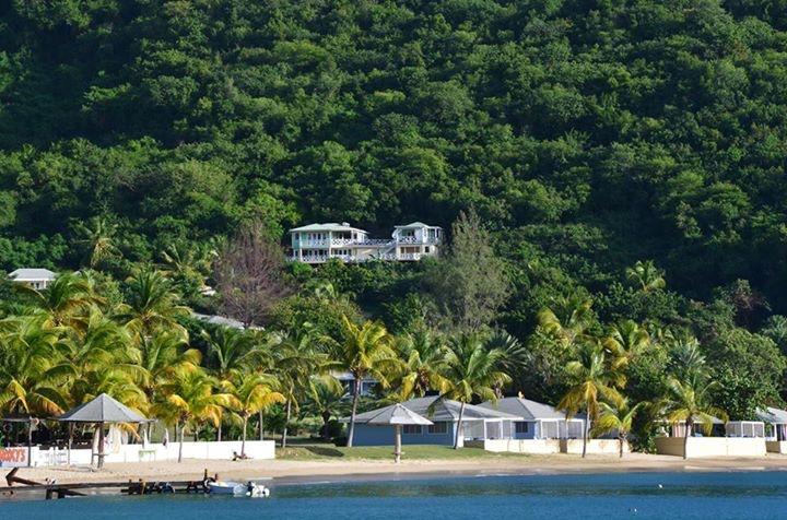 Paradise Properties - Calypso Villa